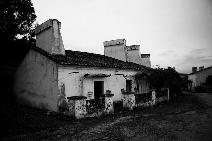 Rui Soares
