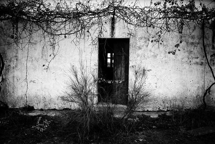 Rui Soares