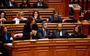 Cristas quer apuramento de 'responsabilidades políticas e técnicas' após o luto