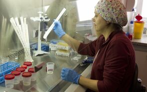 Governo nomeia líderes universitários para liderar a Fundação para a Ciência e Tecnologia 