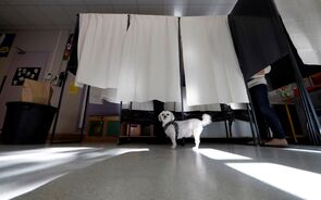 MAI vai pagar mais de 345 mil euros em campanha de esclarecimento nas eleições