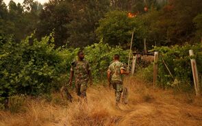 Góis: Mantém-se objectivo de deixar incêndio resolvido hoje
