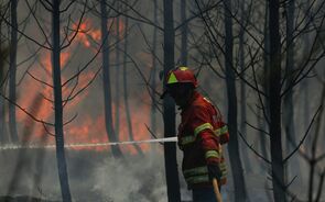 Pedrógão Grande e Góis mobilizam mais de 2.500 operacionais