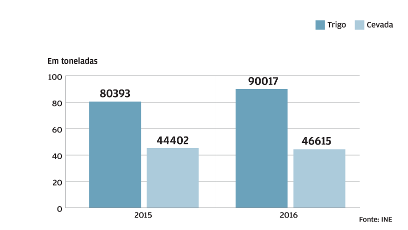 Produção de trigo sobe 12%
