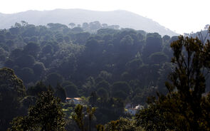 Cadastro simplificado: “Justiça só mapeou 47% dos terrenos, mas isso foi notável”