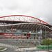 Emissão de obrigações da Benfica SAD: Champions é fundamental para as contas
