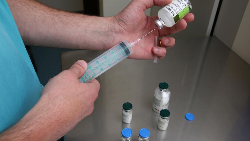 Comissão de Proteção de Dados avalia divulgação de apoiantes do "crowdfunding" dos enfermeiros