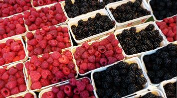 Morangos e framboesas já podem ser retirados do mercado com apoio do Governo