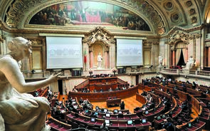 Oposição limitada nas coligações negativas