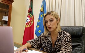 Revitalização do Pinhal Interior com mais de 400 projetos e investimento de 146 milhões