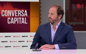 Vindima com quebra na produção acima de 3% mas qualidade é boa